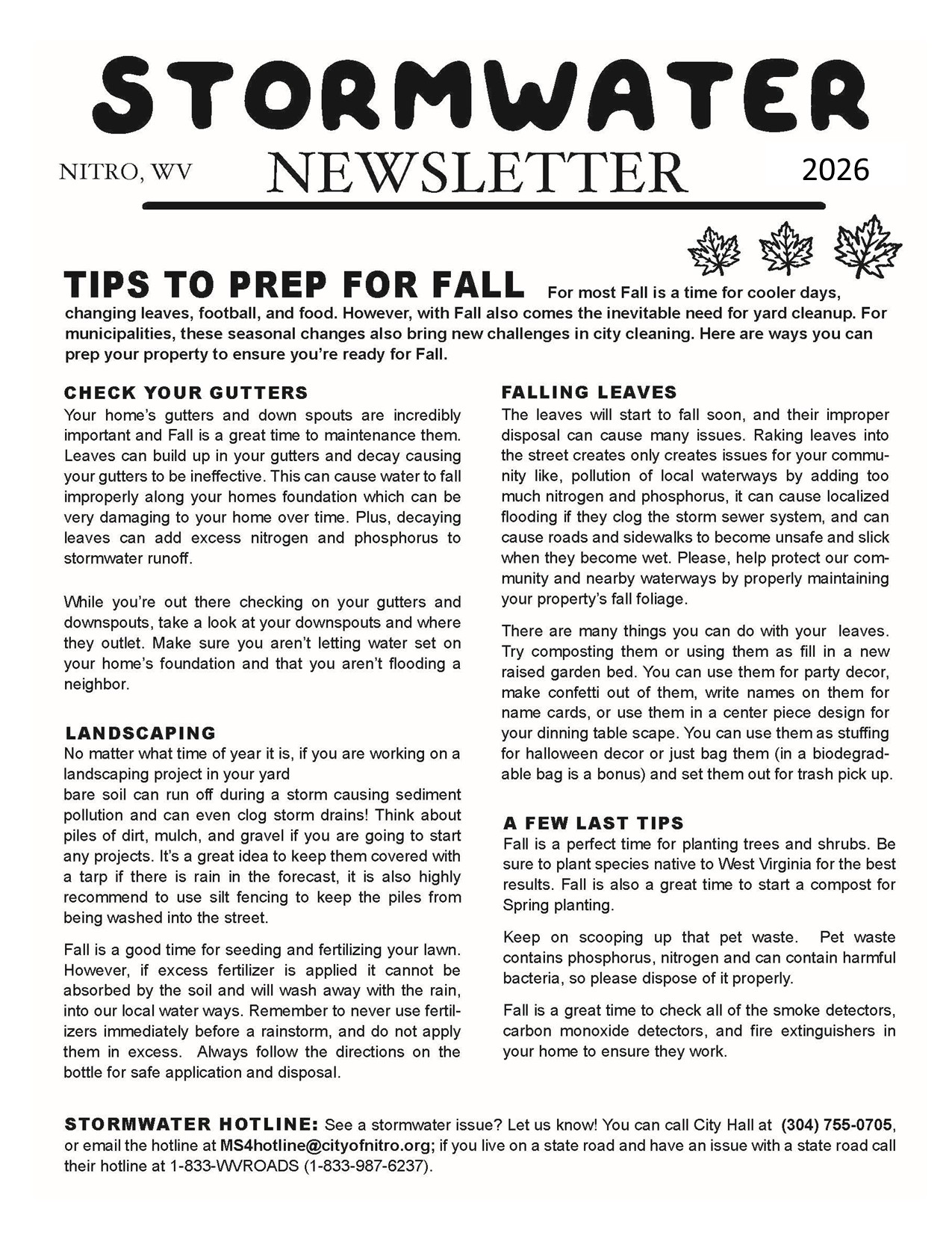 MSF Newsletter OCT DEC 2026 2